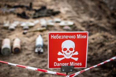 В Украине к середине лета представят систему разминирования с использованием ИИ — Свириденко