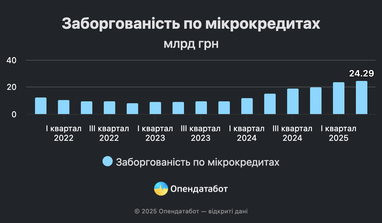 Украинцы берут 730 тысяч микрозаймов ежемесячно — статистика