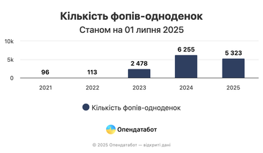 Який бізнес відкривають українці у 2025: аналітика за сферами і регіонами (інфографіка)