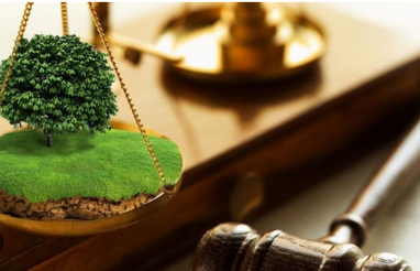 Более 1 млрд грн заработали организаторы земельных торгов в системе Прозорро