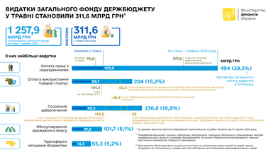 Найбільше коштів від початку року спрямували на оплату праці — Мінфін