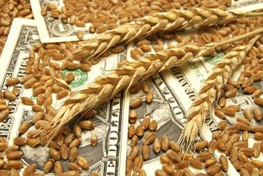 россия украла украинской пшеницы на 1 млрд долларов - Bloomberg