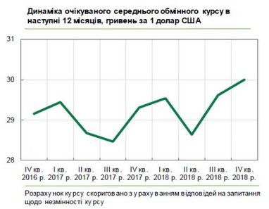 Бізнес очікує 30 гривень за долар (інфографіка)