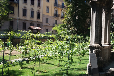 Недвижимость Леонардо да Винчи в Милане (фото: открытые источники)