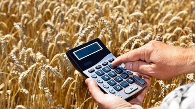 Аграрии в этом году получили более 20 миллиардов кредитов — Минагрополитики