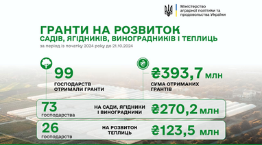 Скільки коштів виділив уряд українським аграріям від початку року (інфографіка)