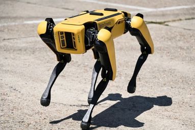 Робот-собака від Boston буде розмінувувати території в Україні – ЗМІ