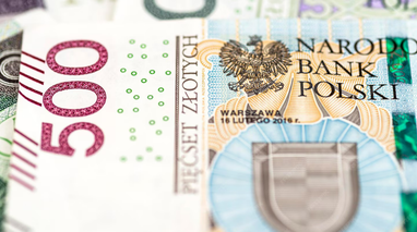 Единовременное пособие 200 тыс. злотых вместо 800 Плюс в Польше — детали