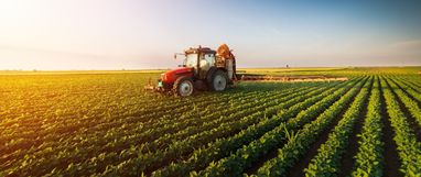 Як зміниться ціна на землю в Україні: експерти дали прогноз