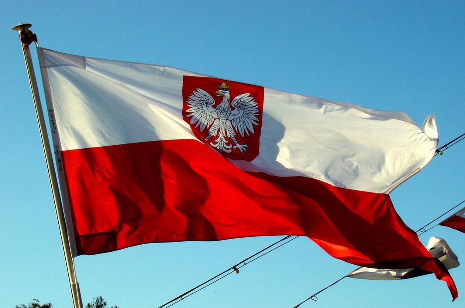 В паспортних сервісах Польщі для українців вводяться нові правила реєстрації