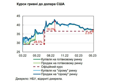 В Україні попит на валюту зростає: як змінився ринок в травні