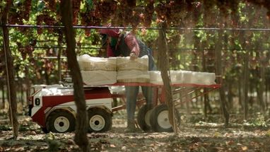 У США розробили робота-перевізника, який допомагатиме фермерам збирати врожай (фото, відео)