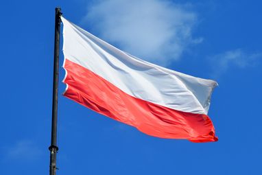 В Польше нашли убежище четверть украинских беженцев