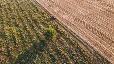 В Мінагрополітики пропонують щорічну виплату дотацій аграріям з прифронтових територій