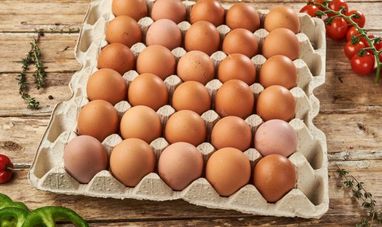США обратились за помощью к Дании из-за роста цен на яйца — СМИ