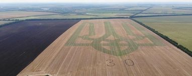 Цифри Незалежності: найбільші врожаї України