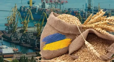У росії висунули низку вимог для продовження «зернової угоди»