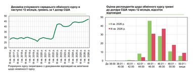 Средний прогнозируемый курс на следующие 12 месяцев составил 46,90 грн/долл. США
