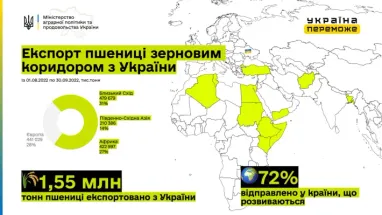 Куди і скільки відправлено української пшениці (інфографіка)