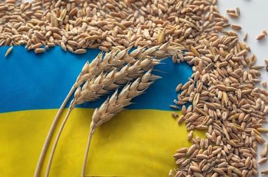 Фінляндія вирішила підтримати "зернову угоду", виділивши 5 млн євро