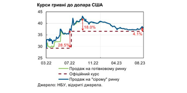 НБУ пояснив зростання курсу долара за останній місяць