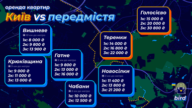 Инфографика: Bird
