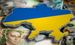 Госдолг Украины вырос почти до 6 триллионов гривен: в чем причина