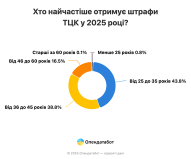 В каких областях открыли больше всего производств за штрафы ТЦК (инфографика)