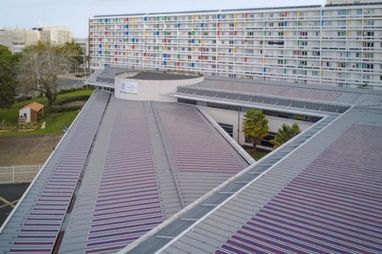 У Франції запустили найбільшу електростанцію з органічних сонячних панелей (фото)