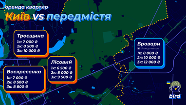 Инфографика: Bird