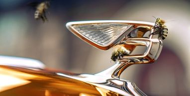 Не только автомобили: Bentley наладила производство меда (фото)