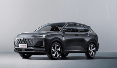 Кроссовер Changan за 13,5 тыс. долларов стал мировым хитом продаж (фото)