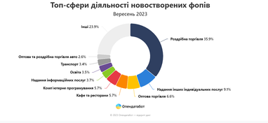 Рекордну кількість нових фопів українці відкрили у вересні: найпопулярніші бізнеси (інфографіка)