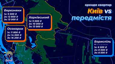 Инфографика: Bird