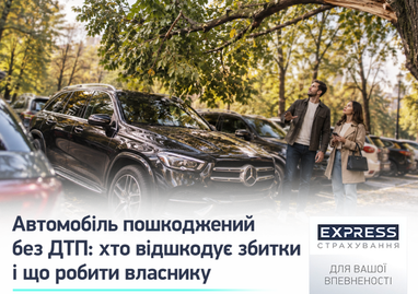Фото на тлі осіннього парку: занепокоєна пара розглядає гілку, що впала з дерева на їхній автомобіль, розмірковуючи про відшкодування збитків.