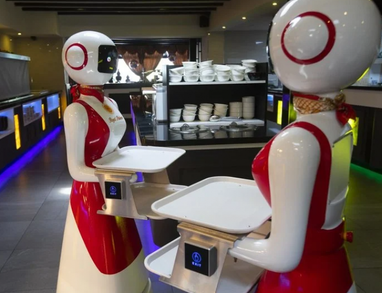 Роботы-официанты: в Нидерландах придумали, как уберечь клиентов ресторана от COVID-19 (фото)