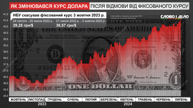 Доллар обновляет рекорды: как изменялась стоимость валюты после отмены фиксированного курса