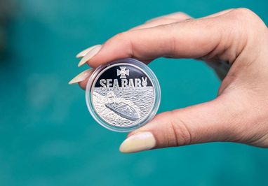 На реверсі — морський дрон «Sea Baby»