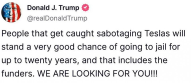 До 20 років ув’язнення: Трамп пригрозив активістам за саботаж Tesla