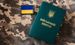 В Украине могут ввести уголовную ответственность для представителей ТЦК и ВВК