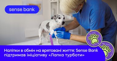 Sense Bank поддержал благотворительную инициативу «Лапка заботы»: помощь животным в прифронтовых зонах