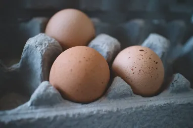 Оптові ціни на яйця впали на 10%, — Мінагрополітики
