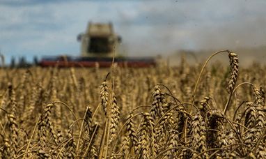 Починається подання заявок на отримання субсидій на землю для аграріїв постраждалих регіонів: терміни — Finance.ua