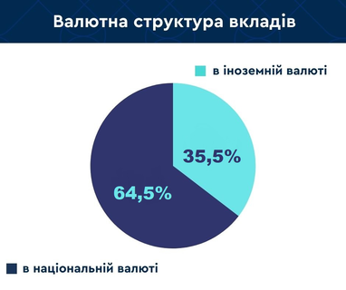 Украинцы наращивают депозиты в банках: в какой валюте держат сбережения