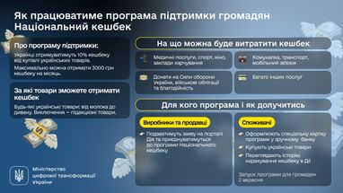 Інфографіка: Мінцифри