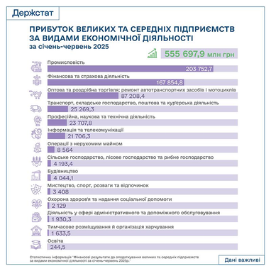 Інфографіка: Держстат