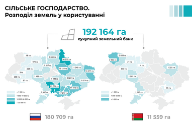 Около 200 тыс. га украинской земли используют агропроизводители, связанные с россией или беларусью