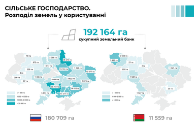 Майже 200 тис. га української землі використовують агровиробники, пов’язані із росією чи білоруссю