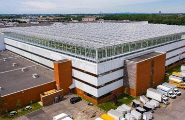 У Канаді побудували найбільшу в світі теплицю на даху