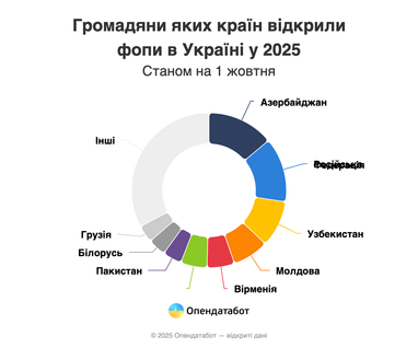 Сколько иностранцев открыли бизнес в Украине в этом году (инфографика)